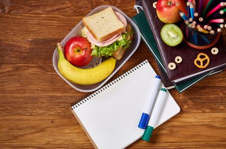 Boite à lunch idéale pour votre enfant à l’école