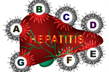 Les hépatites